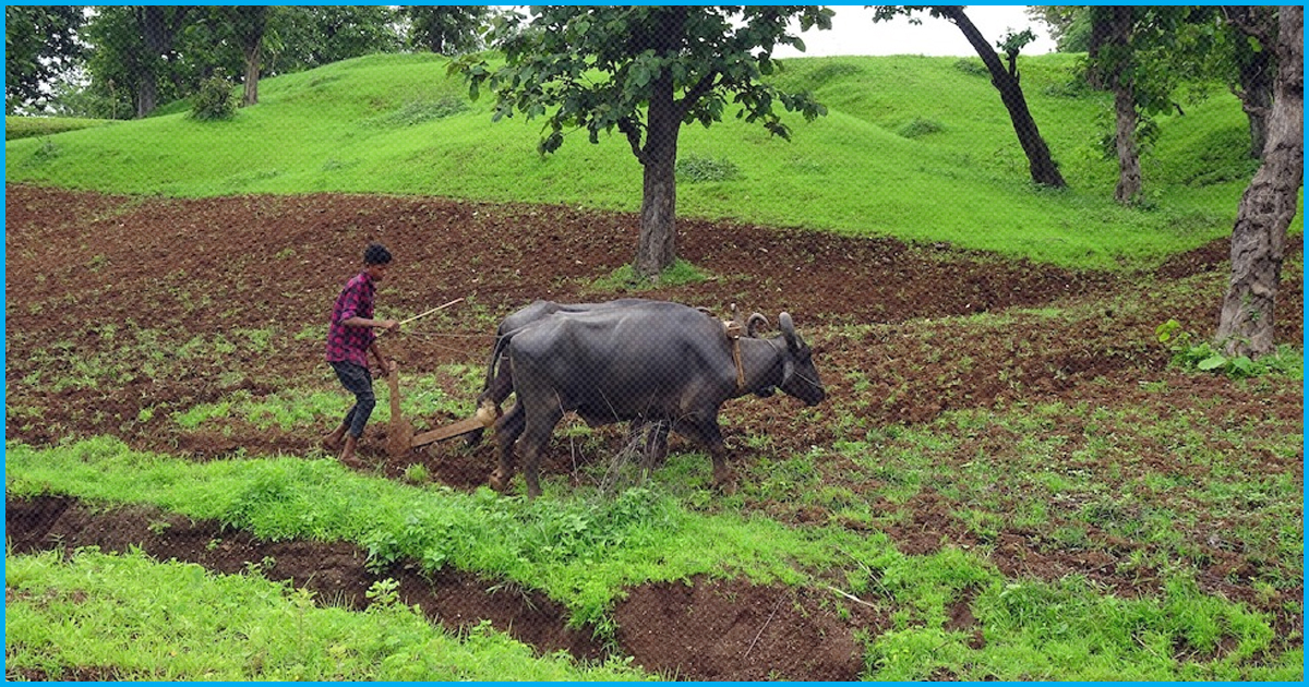 The Unending Saga Of Farm Distress In India