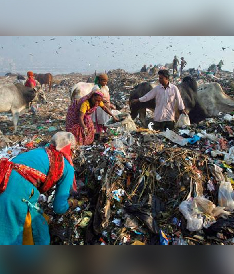 India Fails To Collect 10,376 Tonnes Of Plastic Everyday