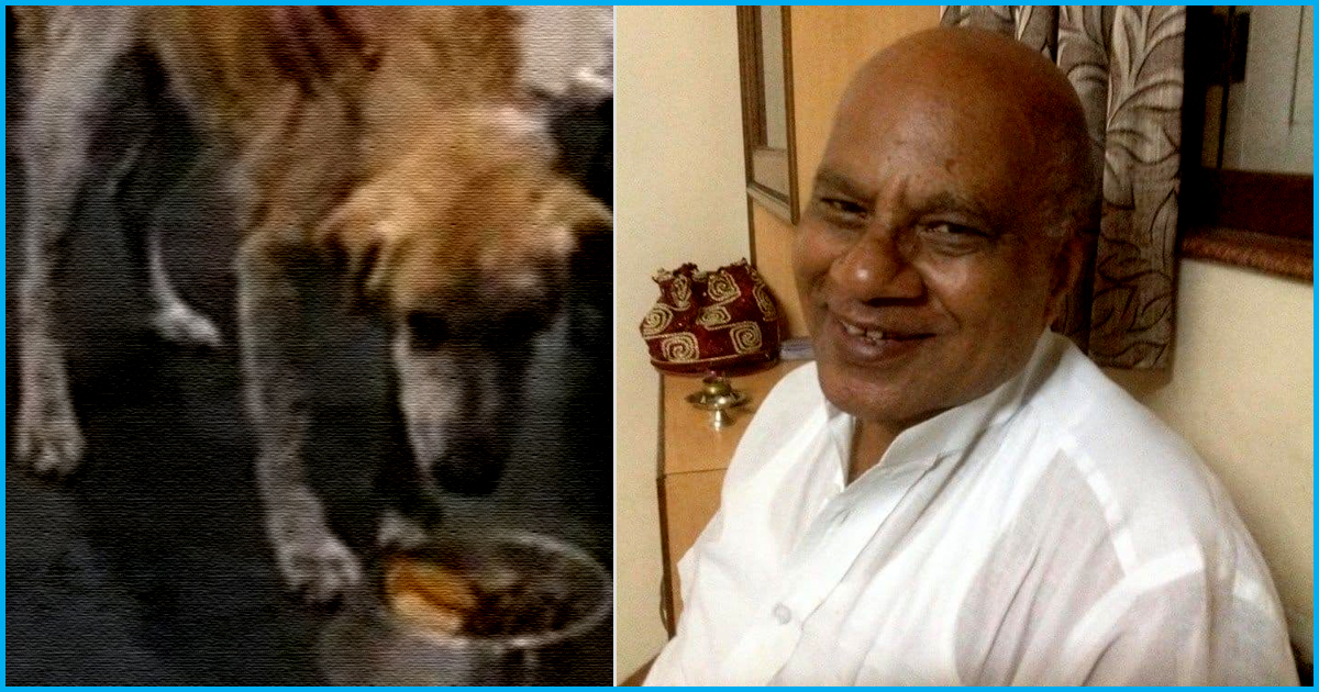 Repaying The Love: Dog Saves Pune Doctor’s Life Who Had Rescued Her 16 Years Ago