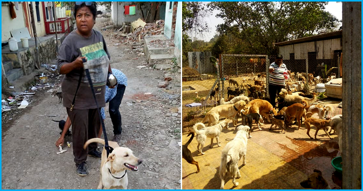 Dogs Or Cats, Strays Or Pets, Hands That Heal Rescues Abandoned Animals,  One Village At A Time