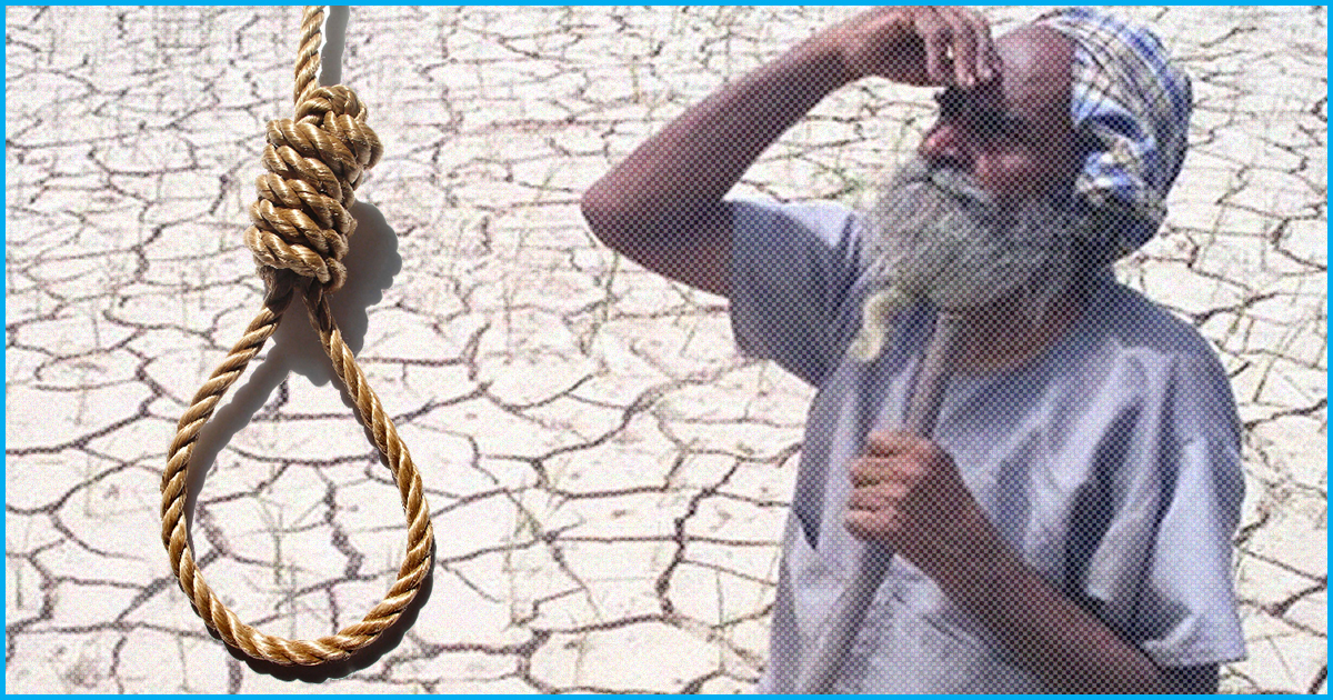 Farmer Suicides In Maharashtra Almost Doubled In 4 Yrs: RTI
