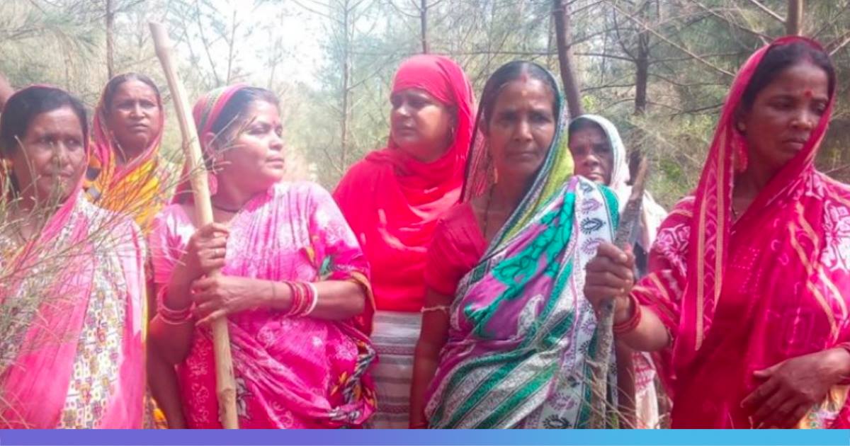 A Women’s Squad In Odisha Defends Its Forest For 20 Years