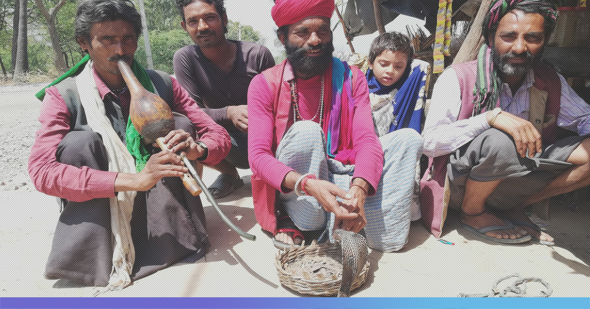 UP: In This Community Of Snake Charmers, A Woman Is Worshipped For Giving Birth To A Girl Child