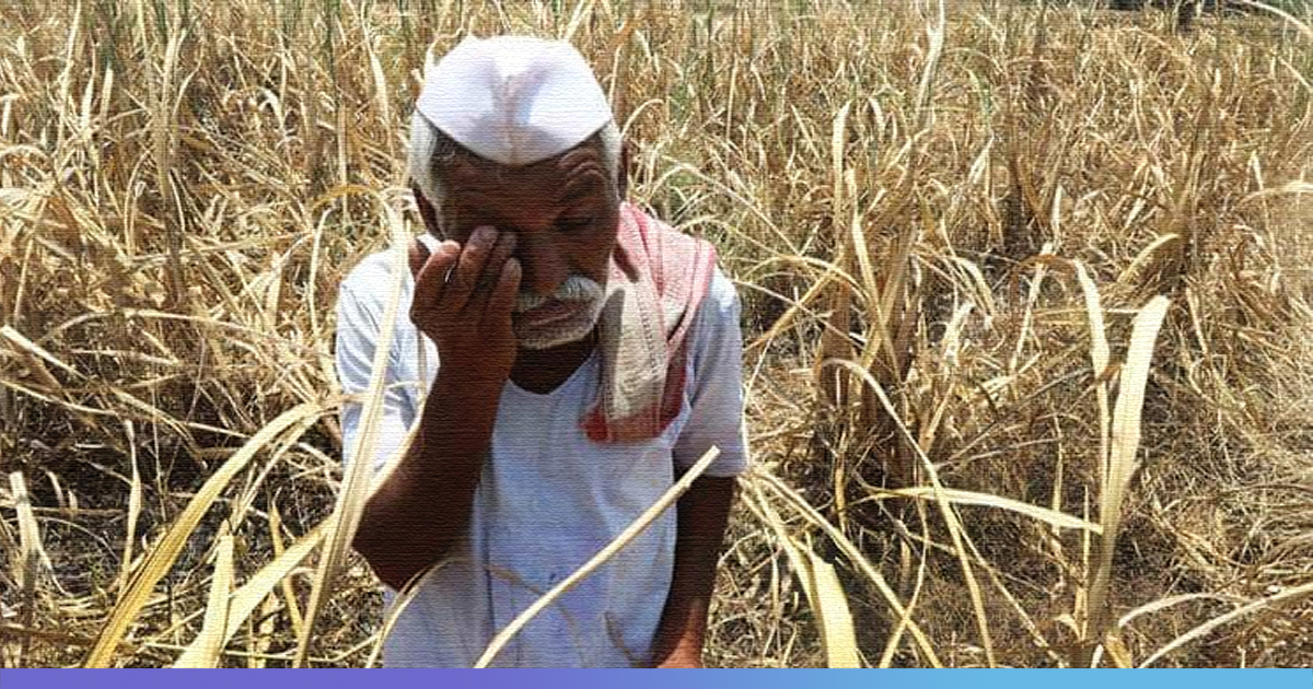 With 15,000 Farmer Suicides Every Year, Agriculture Sector Needs Govts Focus