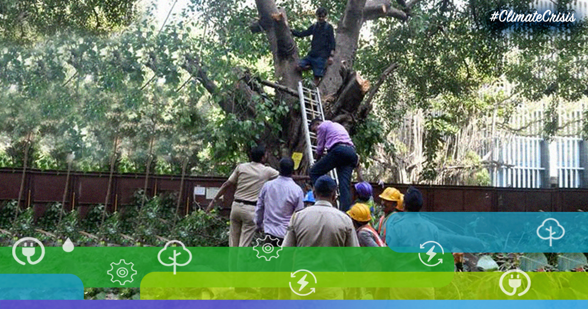Maharashtra: To Save Trees In Thane, Citizens Go Back To Chipko Movement