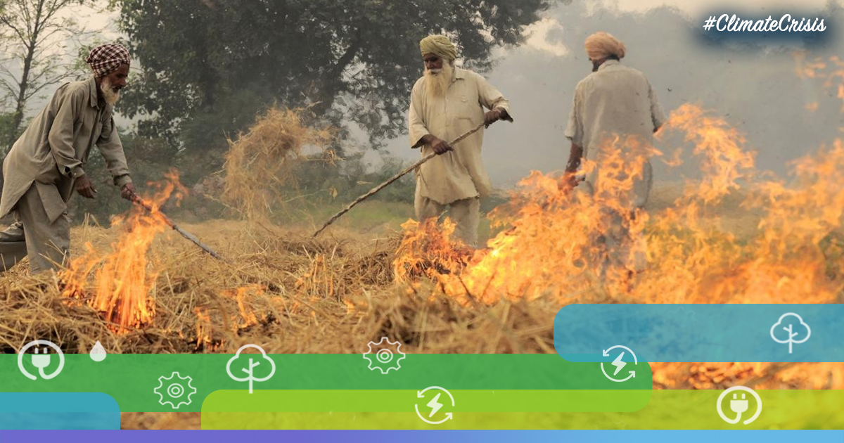 How Stubble Burning In India Is Sounding The Death Knell For The Environment