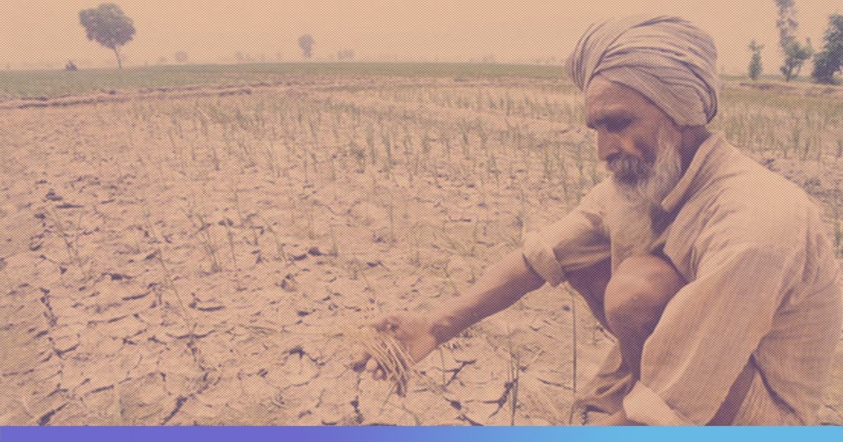 808 Farmers Committed Suicide Between January & April In Maharashtra: Report