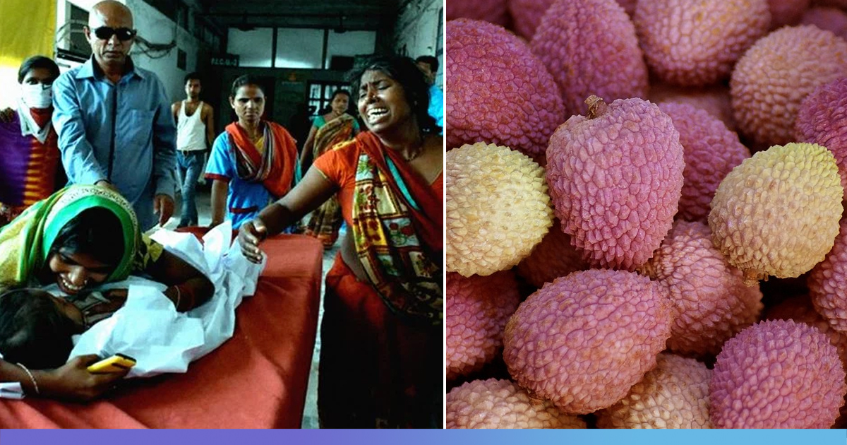 Sales Drop, Farmers Suffer As Litchi Bears The Brunt Of Encephalitis Deaths