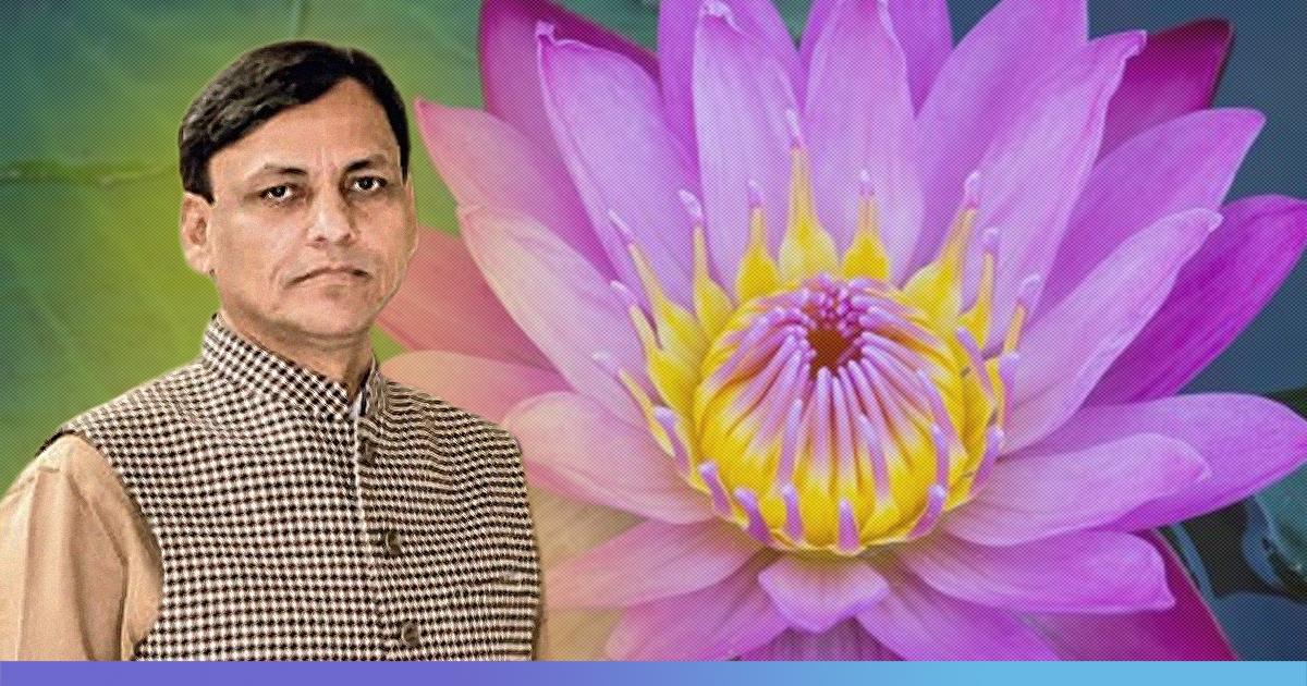 After Hockey, Lotus Loses National Status; Govt Clarifies India Has No National Flower