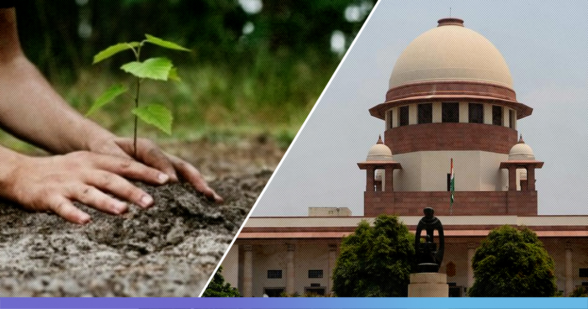 SC Orders Doctor To Plant 100 Trees For Attempting To Murder As A Juvenile In 2004