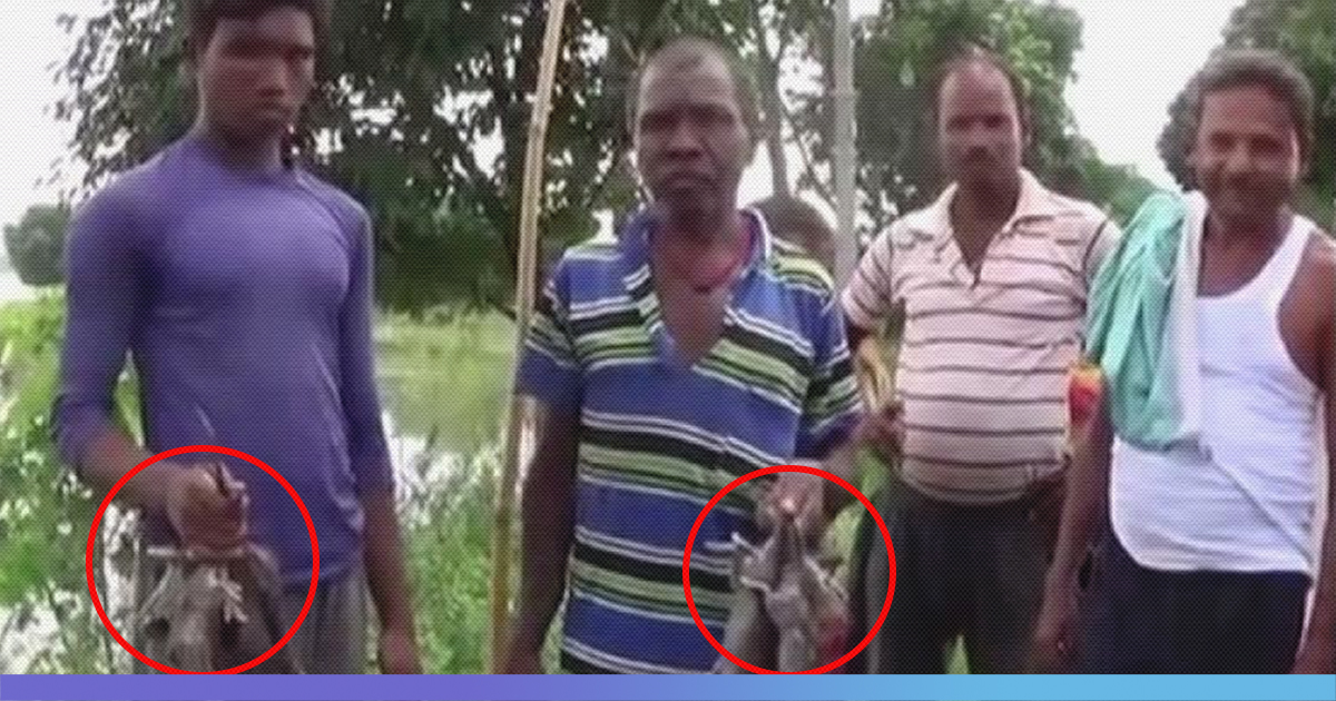 Bihar Floods: Have To Eat Rats To Survive, Locals In Affected Village Claim