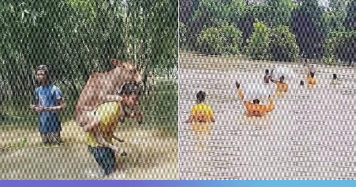 Bihar Flood: This Group Of Student Volunteers Are Extending Help To Flood Victims