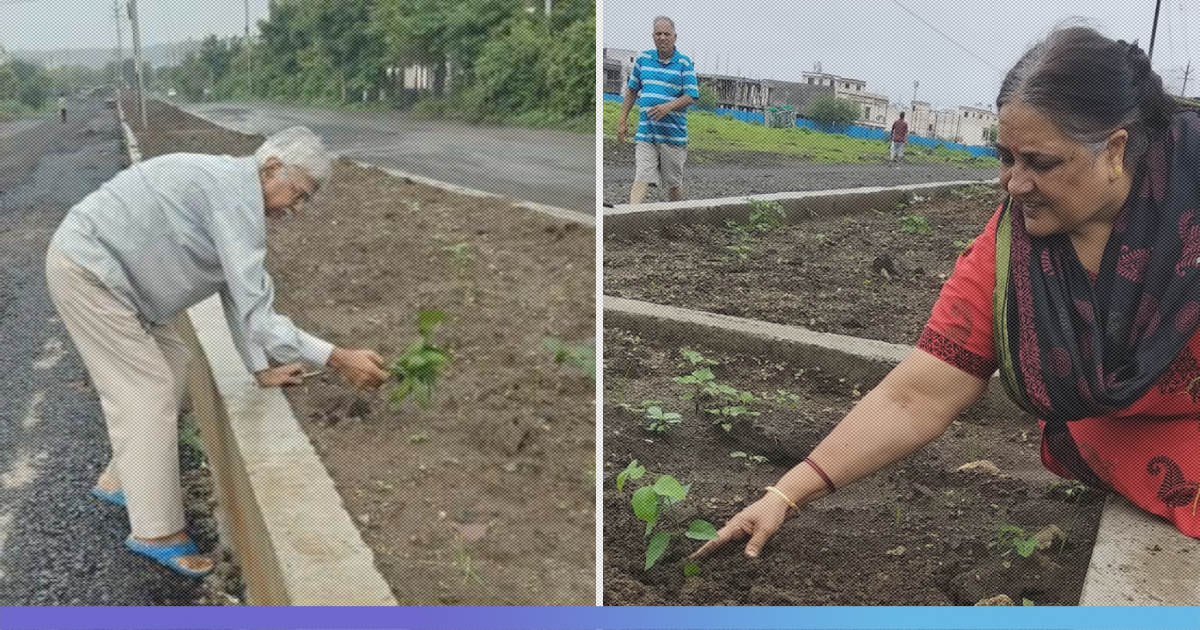 From Filling Potholes To Planting Trees, This 65-Year-Old Bhopal Man Is Safeguarding Our Future