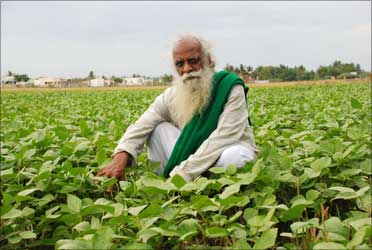 The Scientist Who Became A Saint And Started An Organic Revolution
