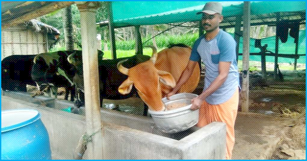 Tamil Dairy Farmers Use Waste From Breweries To Bring Feeding Costs Down &  Increase Milk Production