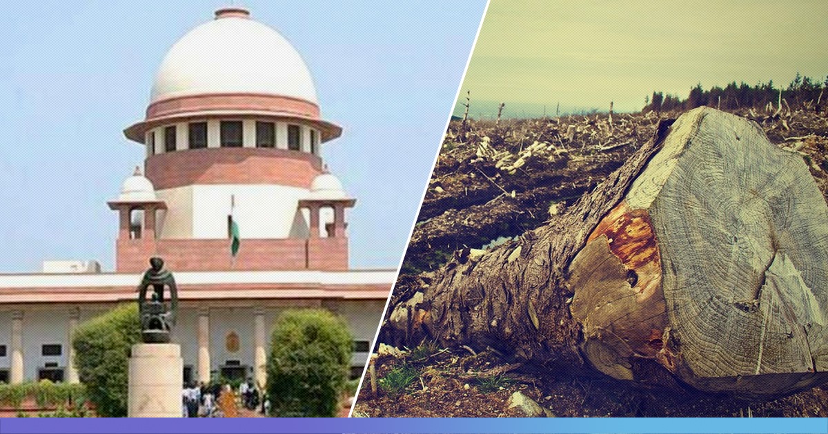 No More Tree-Cutting In Aarey: SC Tells Maharashtra Government