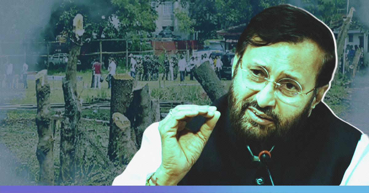 “Why The Fuss?” Environment Minister Prakash Javadekar On Razing Trees For PM’s Rally