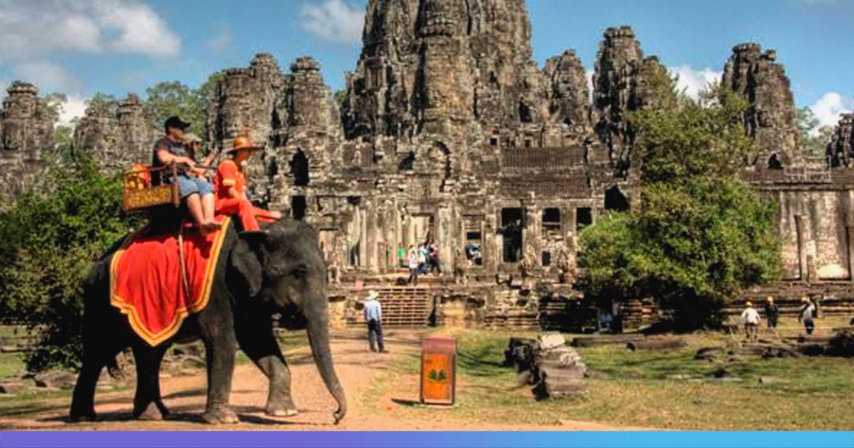 They Will Live Out Their Natural Lives: Cambodia To Stop Elephant Rides To Angkor Wat Temple From 2020