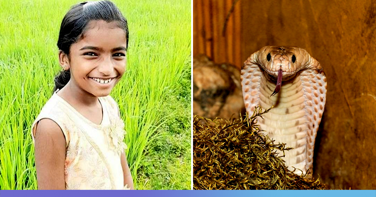 Kerala: 10-Yr-Old Girl Dies Of Snakebite In School; Teachers, Doctors Accused Of Negligence
