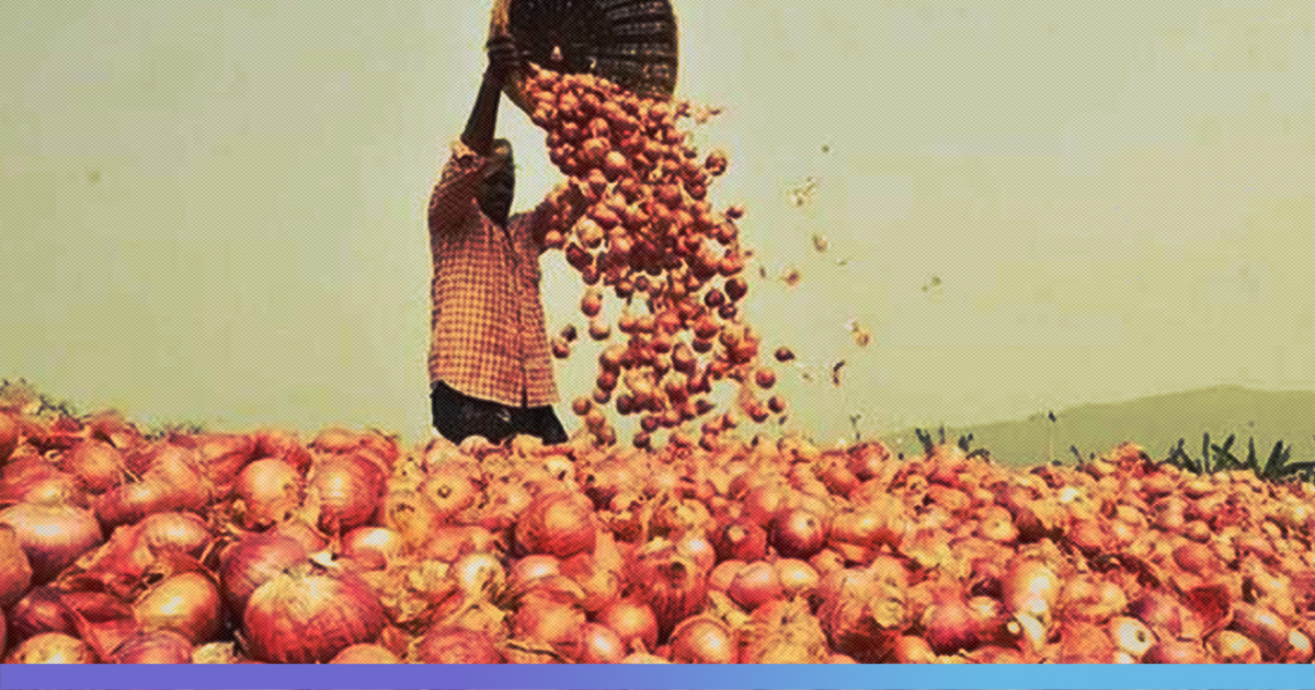 Why Onion Prices Continue To Sky Rocket Even When Farmers Are Selling At Low Cost