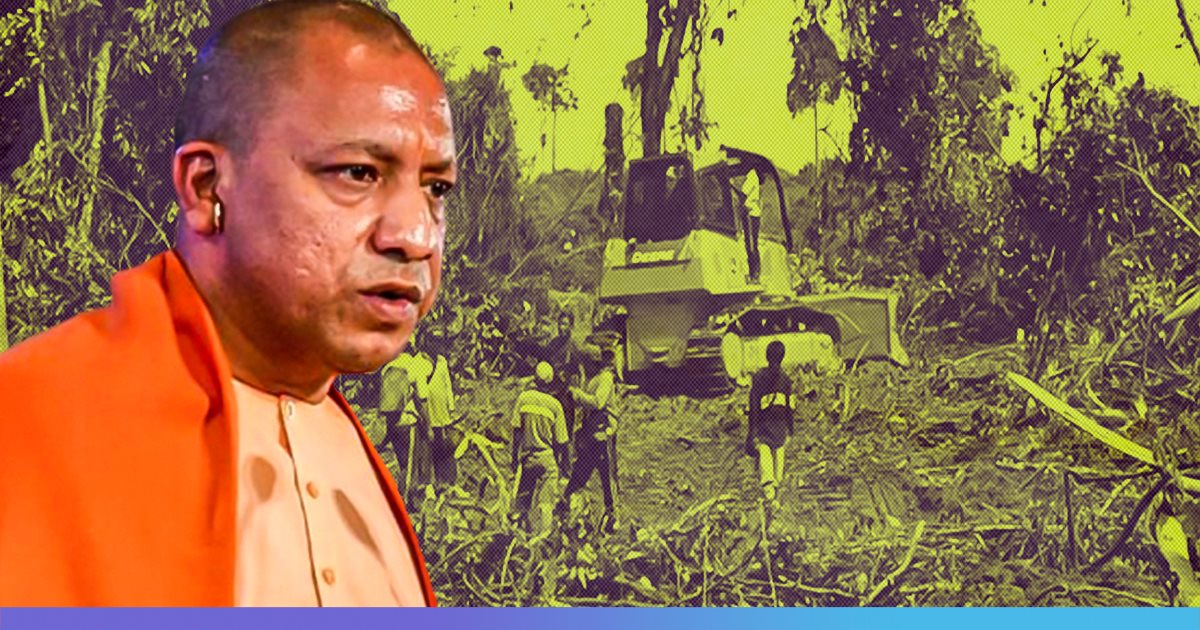 Uttar Pradesh: Over 6,000 Trees To Be Cut For Construction Of Noida International Airport