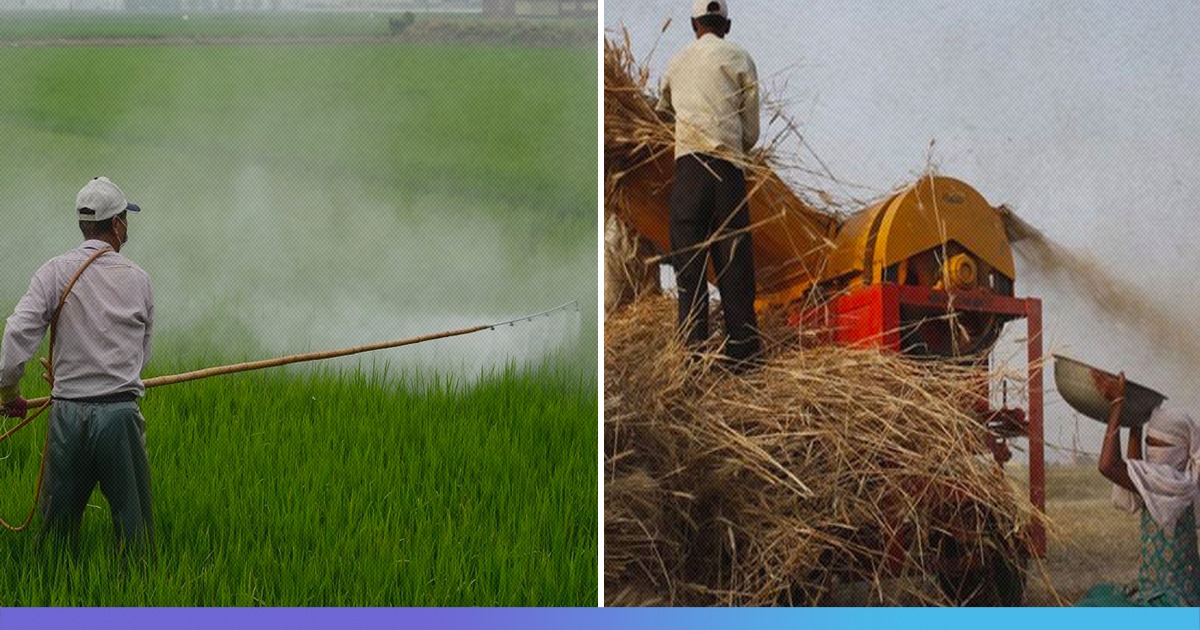 Gujarat: State Govt To Discontinue Subsidy For Chemical Fertilizers, Take Up Organic Farming