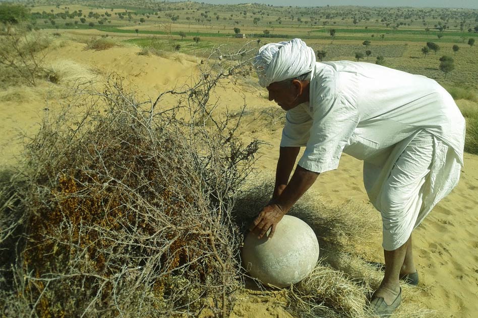 Meet The Tree Man Who Single-Handedly Planted 27,000 Trees To Save A Desert Patch In Rajasthan