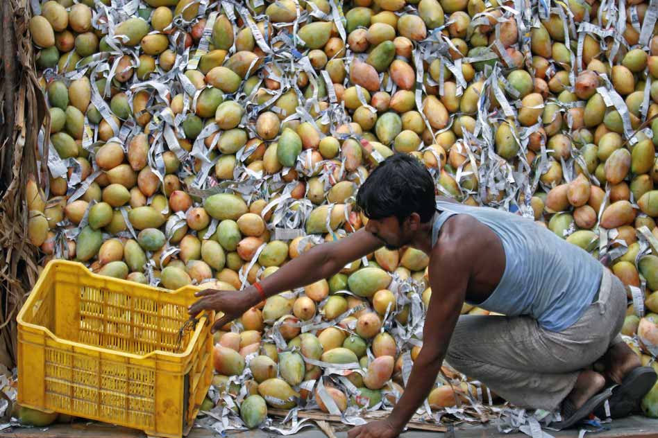 Box Of Artificially Ripened Mangoes Exploded As Food Inspector Inspects