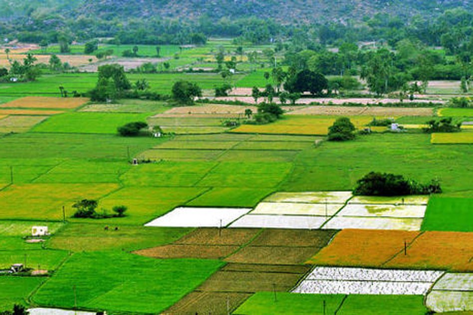 9 Point Check List For Buying Agricultural Land In Telangana & AP?