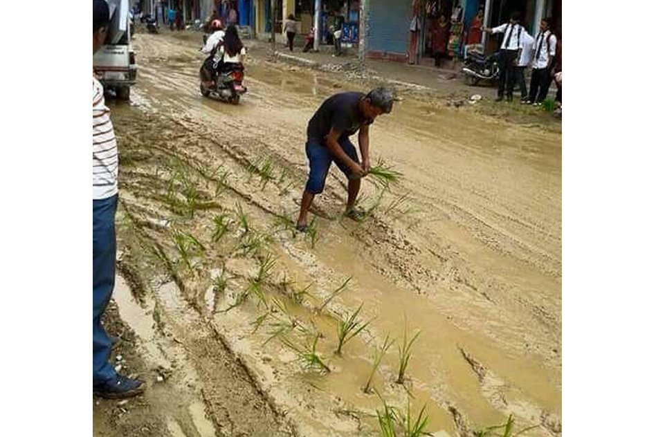 What Made This Man Sow Paddy In The Middle Of The Road?