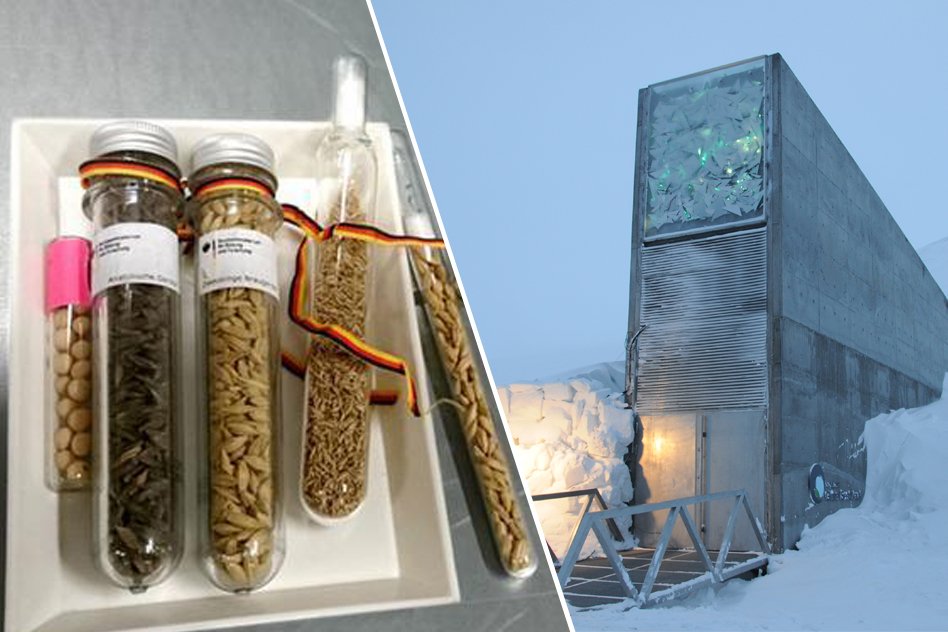 [Watch] This Is Where The Seeds Of The World Are Kept In Case Of A Global Catastrophe