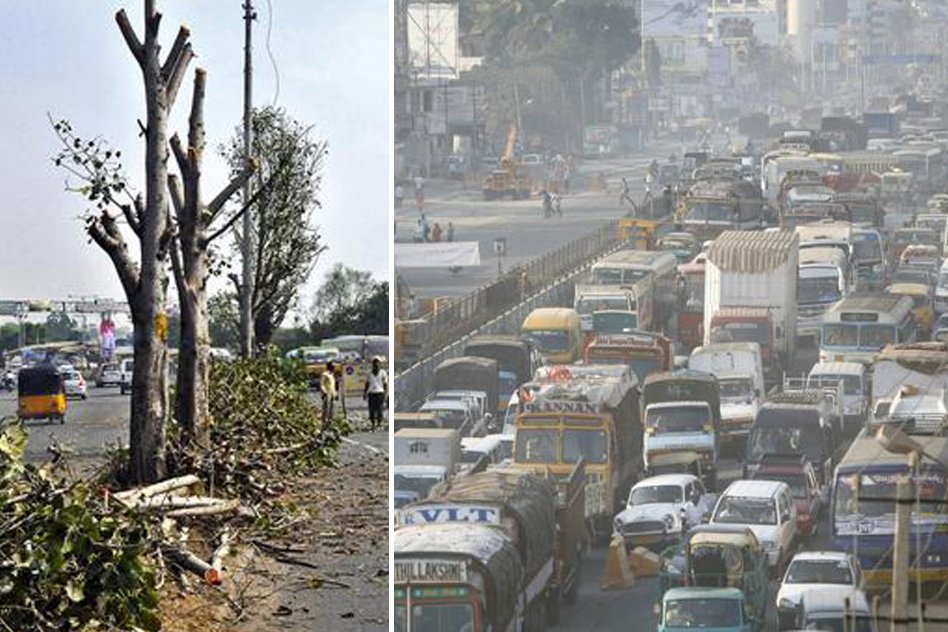 Damning Statistics On Green Cover In Indian Cities, How Much Can We Destroy Environment?