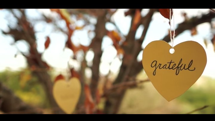 [Watch] Grateful: A Love Song To The World
