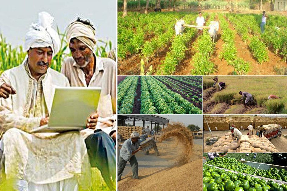 Karnataka: 14 Lakh Farmers Are Selling Their Products Online And Thus No Middle Men
