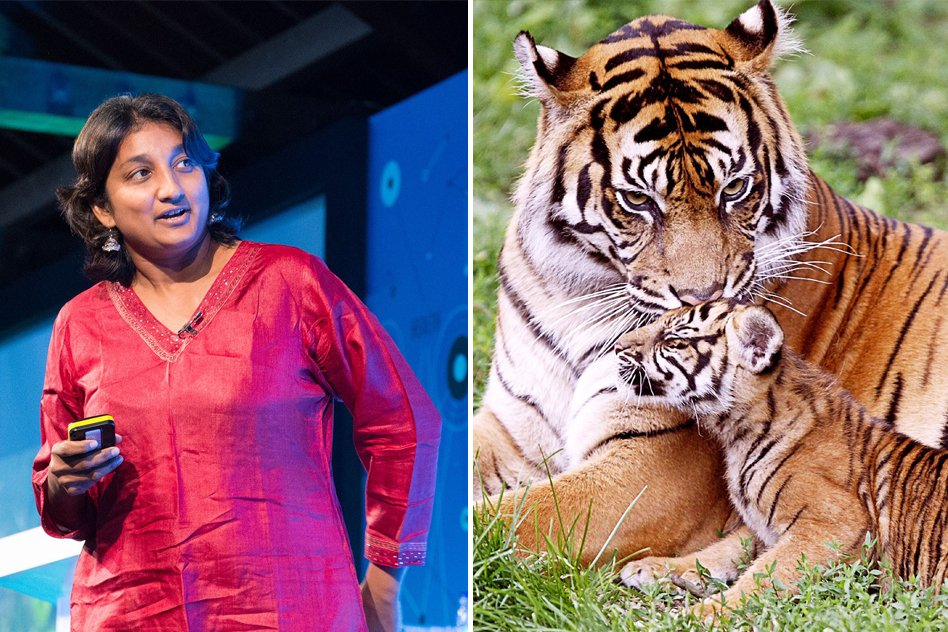 Meet The Woman Who Is On A Mission To Save Indias Tigers