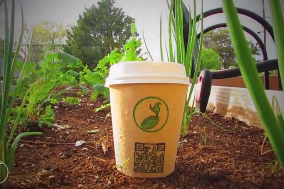 [Video] These Plantable Coffee Cups Will Grow Into Trees, Once It Is Sowed In Ground