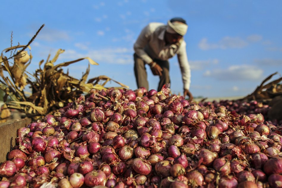 How System Kills A Farmer: After Selling 1000 Kg Of Onions, Farmer Earns Re 1