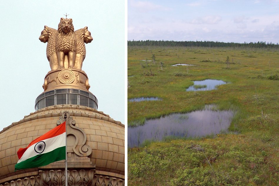 Central Govt Proposes To Dilute Wetland Protection Rules, It Could Spell Disaster