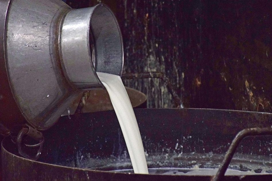 Supreme Court Passes Order In Favour Of Life Imprisonment For Offence Of Milk Adulteration