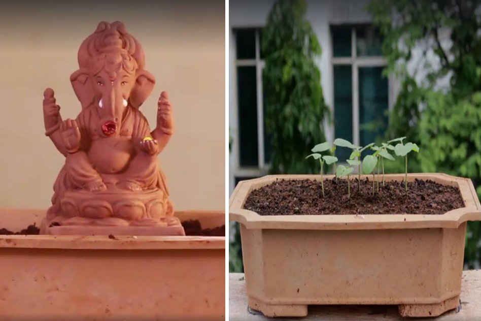 [Watch] The Eco-Friendly Ganesh Idols Which Grows Into A Tree