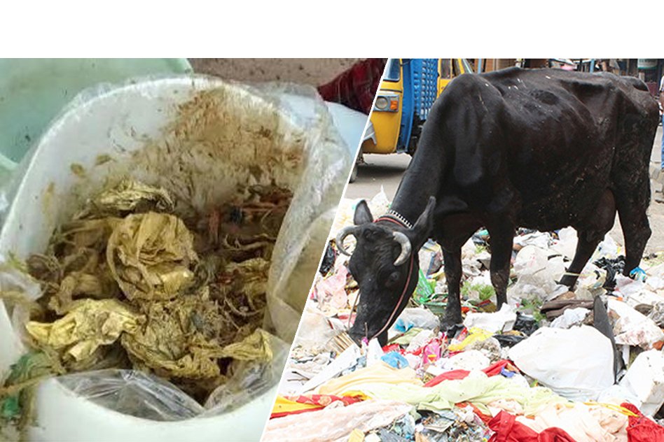 Ahmedabad: Almost 100 Kg Of Garbage Including Plastic Bags, Nails & Other Waste Were Found In The Stomach Of A Cow