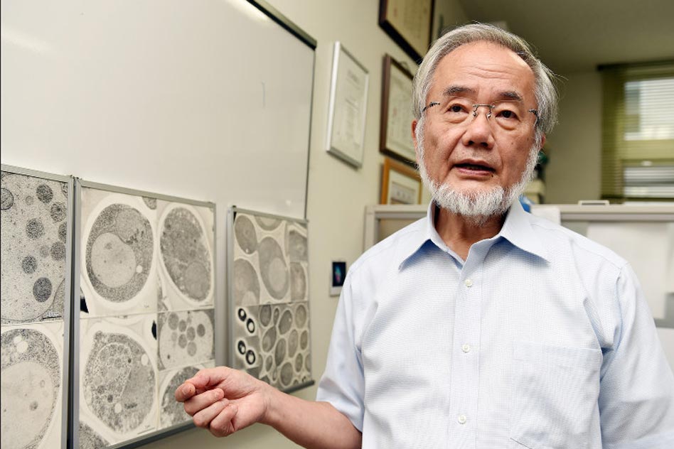 Japanese Scientist Awarded Nobel Prize For Medicine: Know Why His Work Is Important For Everyone Of Us