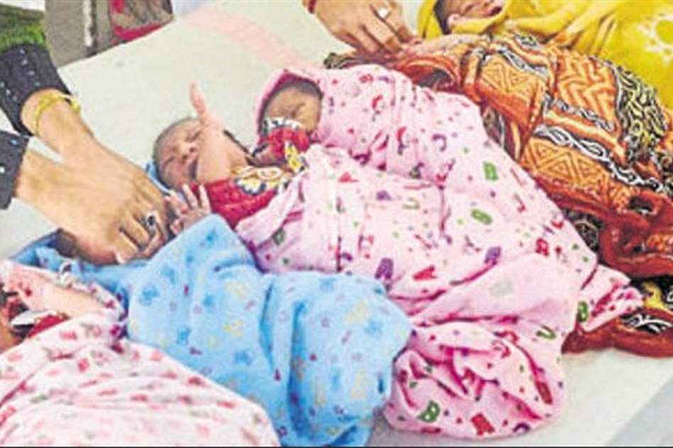 Rats Eat Out Newborn Baby In Maternity Ward Of A Government Hospital In Jammu