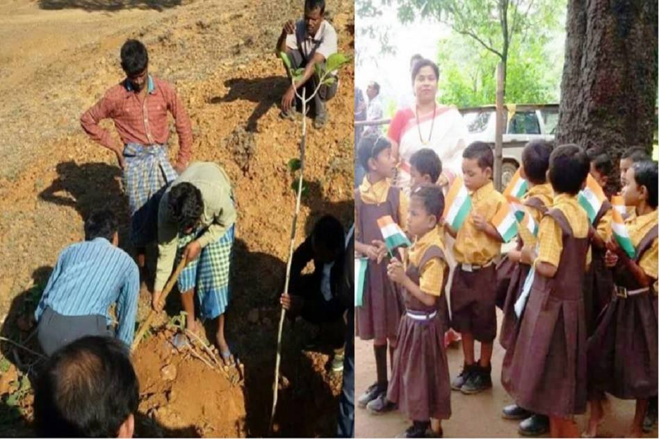 School In Chhattisgarh Asks Parents To Plant Trees Instead Of Paying Fees For Children