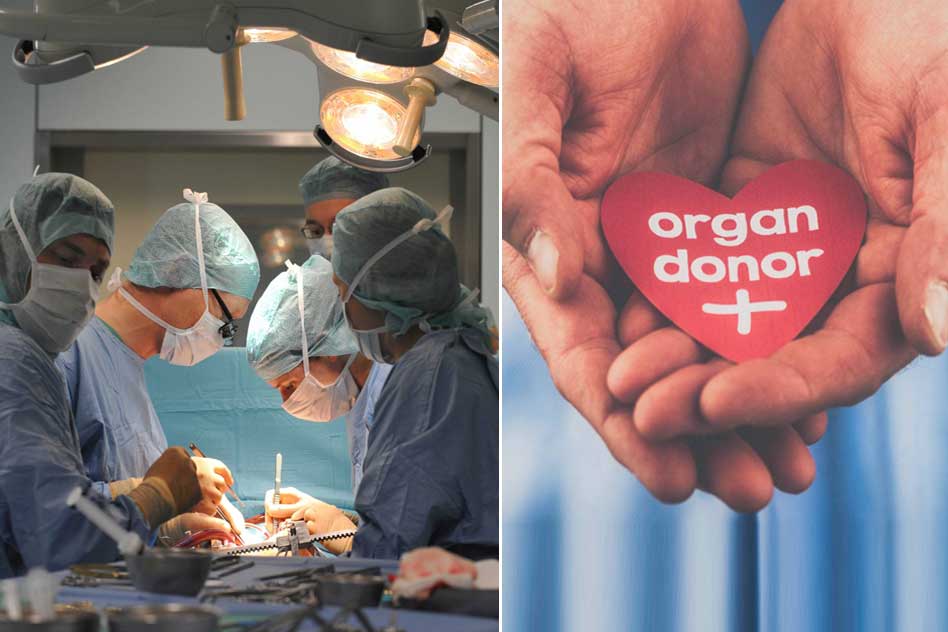 Can India Follow France And Make Organ Donation Compulsory?