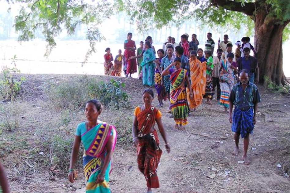Tribals In Remote Village Of Andhra Pradesh Sit On Hunger Strike Seeking Their Crops Back