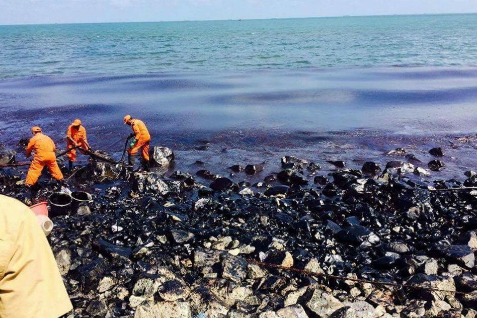 Marine Ecology Threatened After Oil Spill Spread Along Chennai Beach After Ship Collision