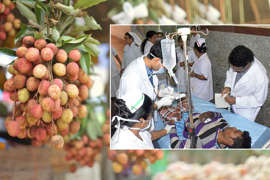 Bihar: Consuming Litchi Caused Deaths Of Hundreds Of Malnourished Children, Confirms Study