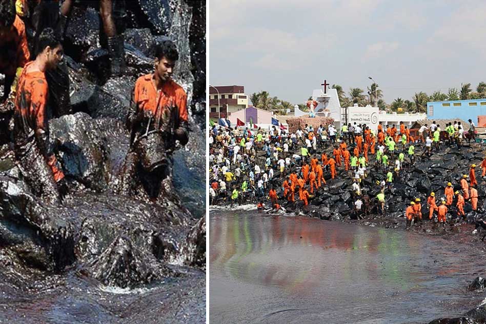 Chennai Oil Spill: Govt, NGOs, Volunteers All Come Together To Clean Citys Shoreline