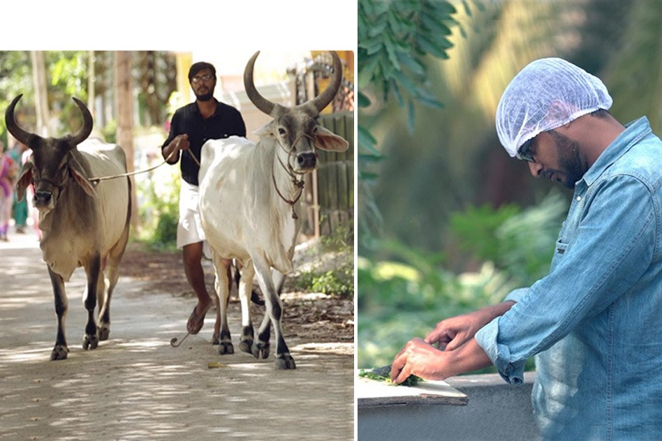 [Video] An MBA Graduate, Who Left His Corporate Job And Took Up Cooking And Rearing Cows